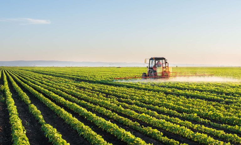 FoodTank_agriculturesubsidiesworldbankreport